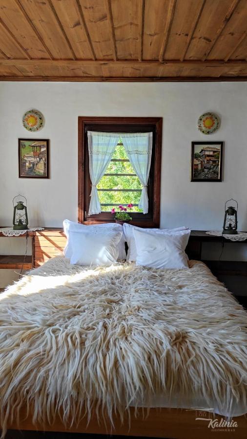 Kovačevica Kalinia Guesthouse B&B מראה חיצוני תמונה