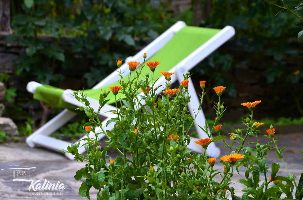 Kovačevica Kalinia Guesthouse B&B מראה חיצוני תמונה
