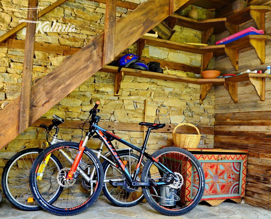 Kovačevica Kalinia Guesthouse B&B מראה חיצוני תמונה