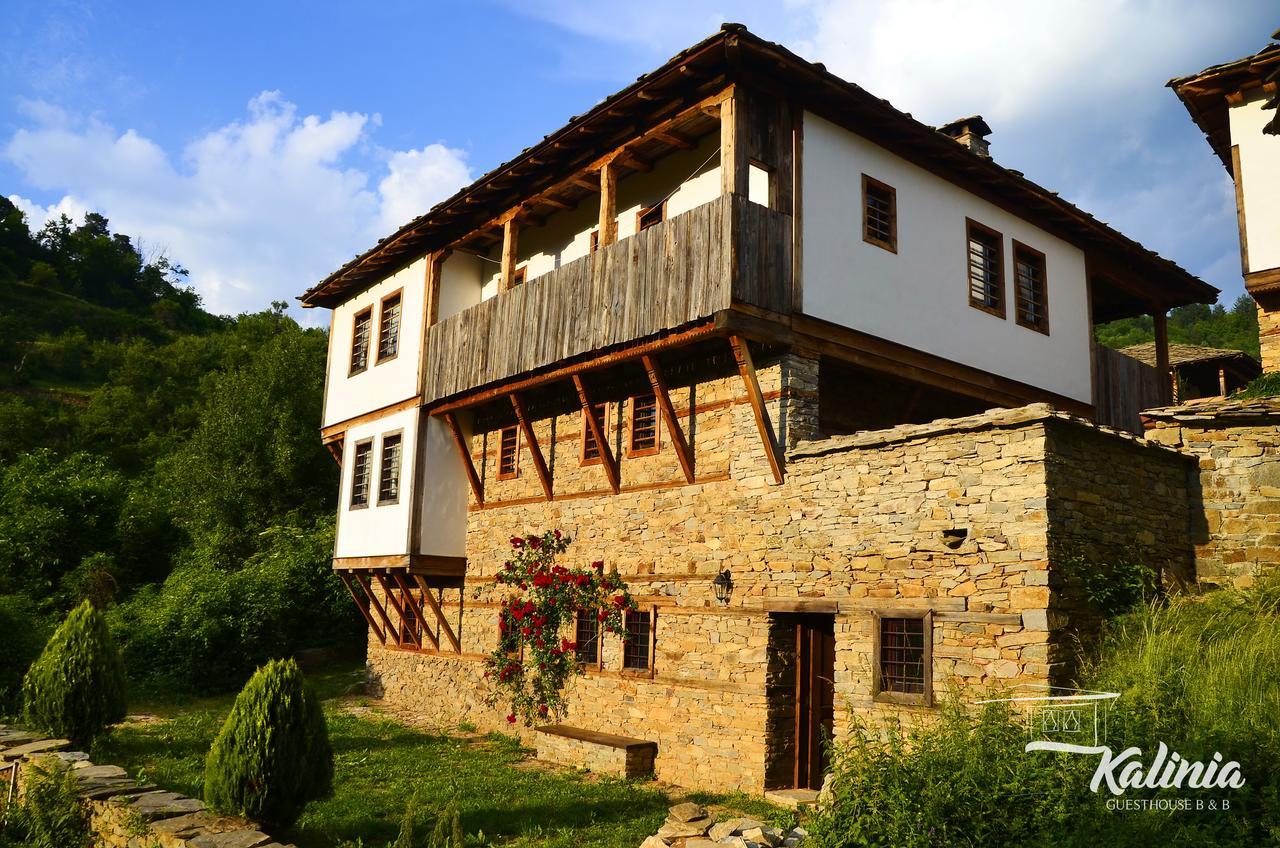Kovačevica Kalinia Guesthouse B&B מראה חיצוני תמונה
