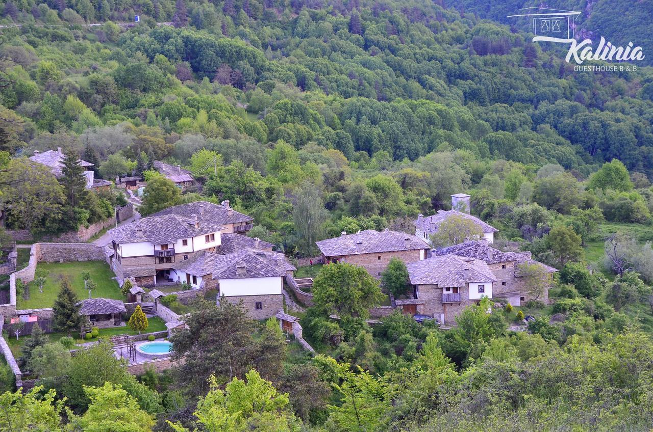 Kovačevica Kalinia Guesthouse B&B מראה חיצוני תמונה