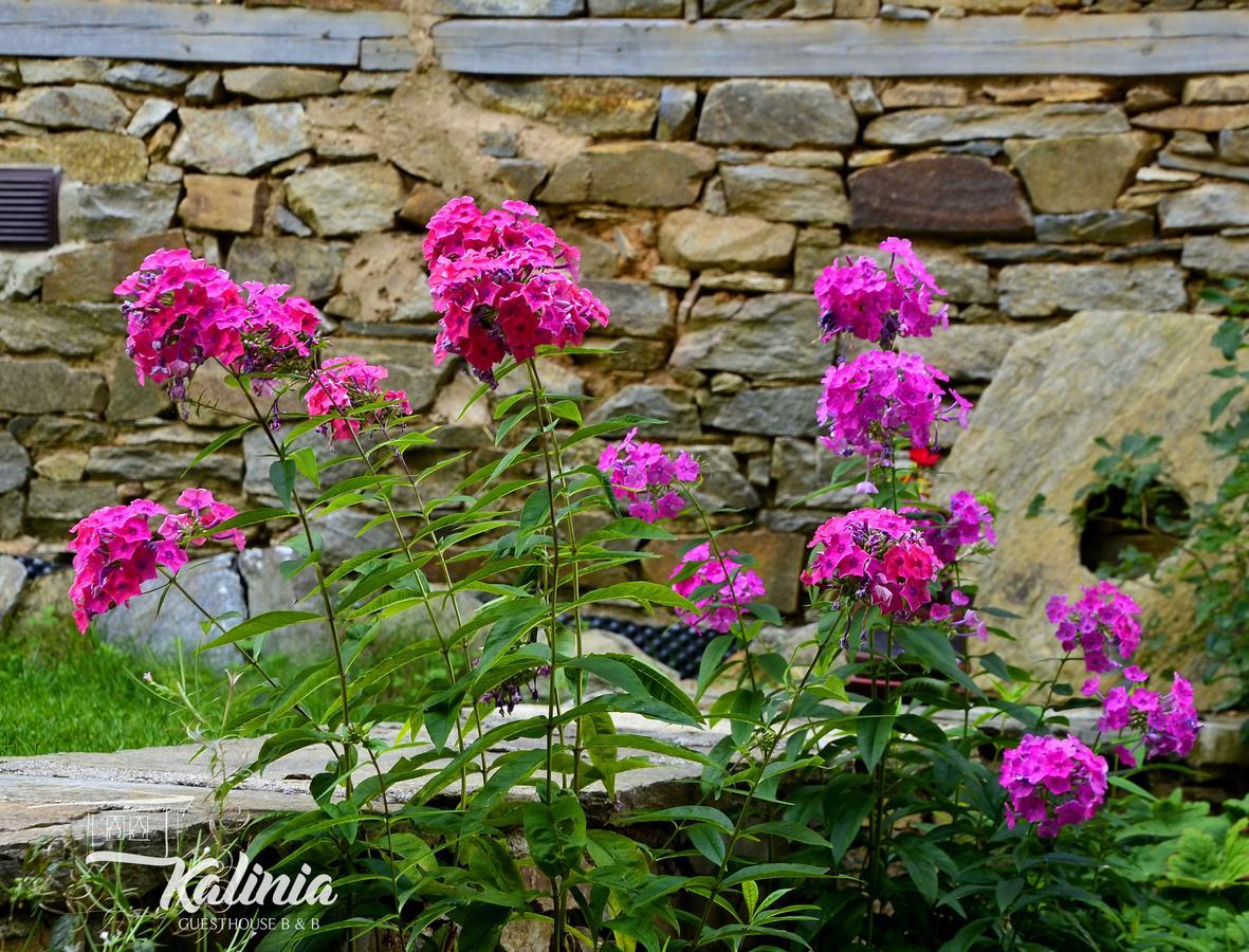 Kovačevica Kalinia Guesthouse B&B מראה חיצוני תמונה