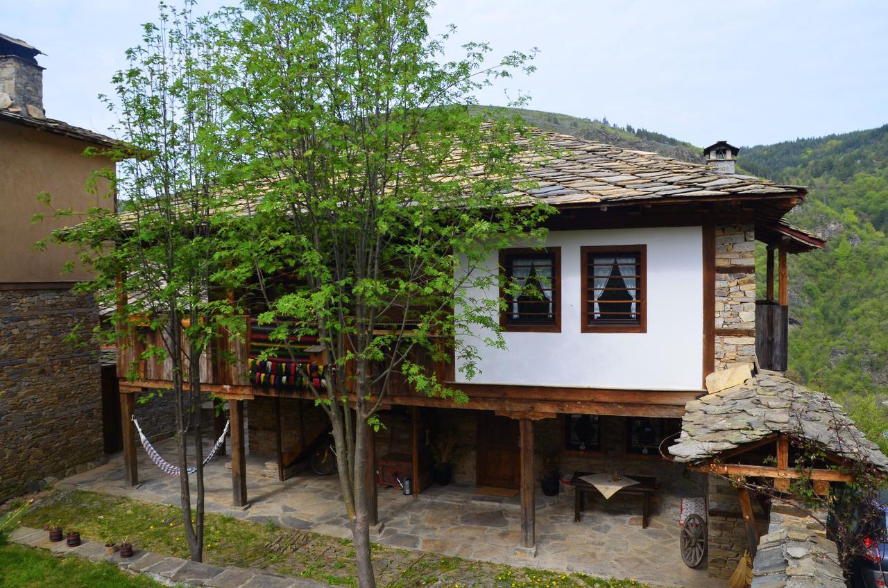 Kovačevica Kalinia Guesthouse B&B מראה חיצוני תמונה