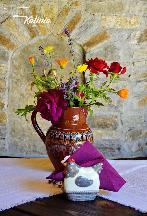 Kovačevica Kalinia Guesthouse B&B מראה חיצוני תמונה
