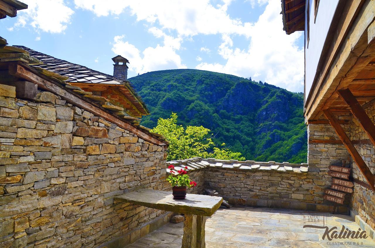 Kovačevica Kalinia Guesthouse B&B מראה חיצוני תמונה