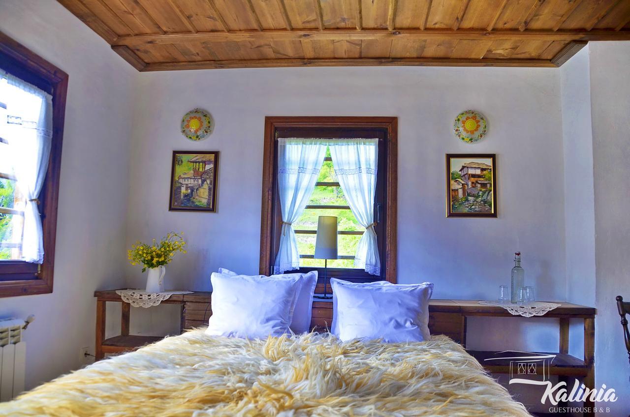 Kovačevica Kalinia Guesthouse B&B מראה חיצוני תמונה