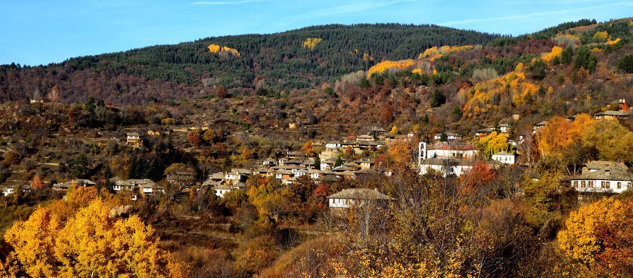 Kovačevica Kalinia Guesthouse B&B מראה חיצוני תמונה