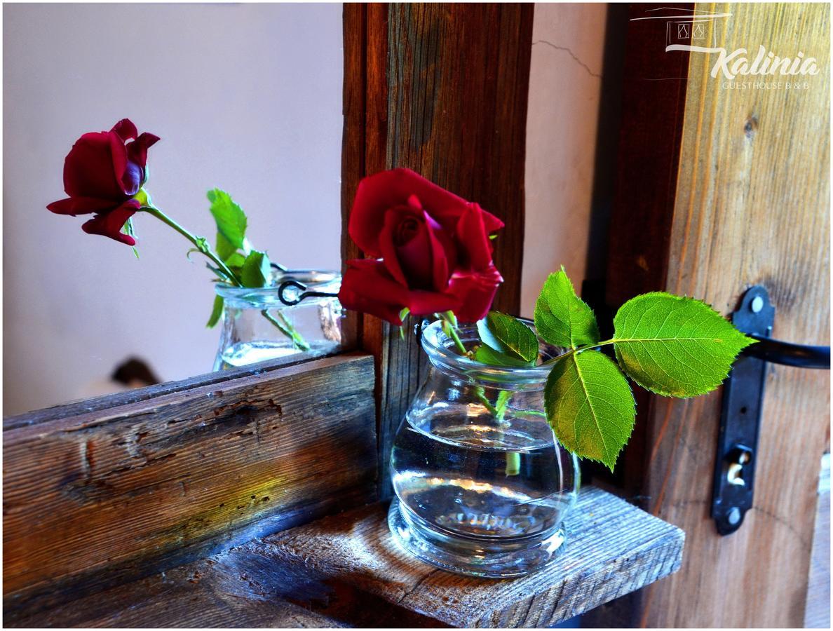 Kovačevica Kalinia Guesthouse B&B מראה חיצוני תמונה