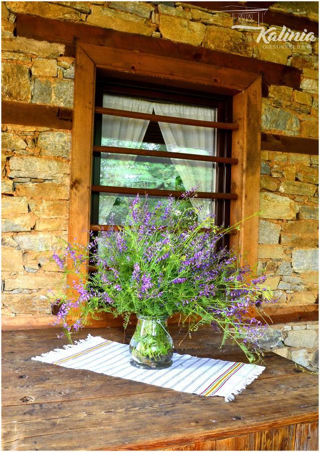 Kovačevica Kalinia Guesthouse B&B מראה חיצוני תמונה